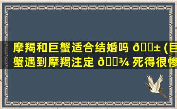 摩羯和巨蟹适合结婚吗 🐱 (巨蟹遇到摩羯注定 🌾 死得很惨)